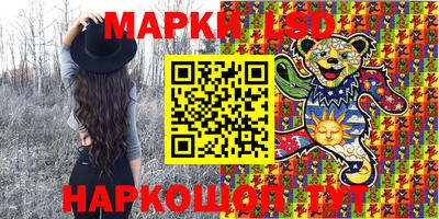 дмт Кандалакша