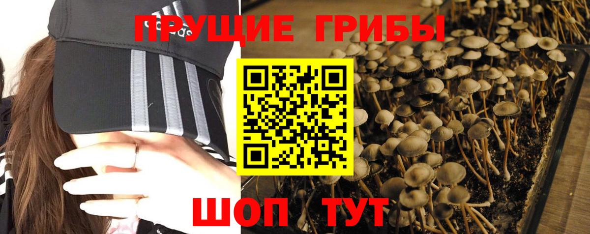 Кушва  Псилоцибиновые грибы Magic Shrooms  Вход с VPN 