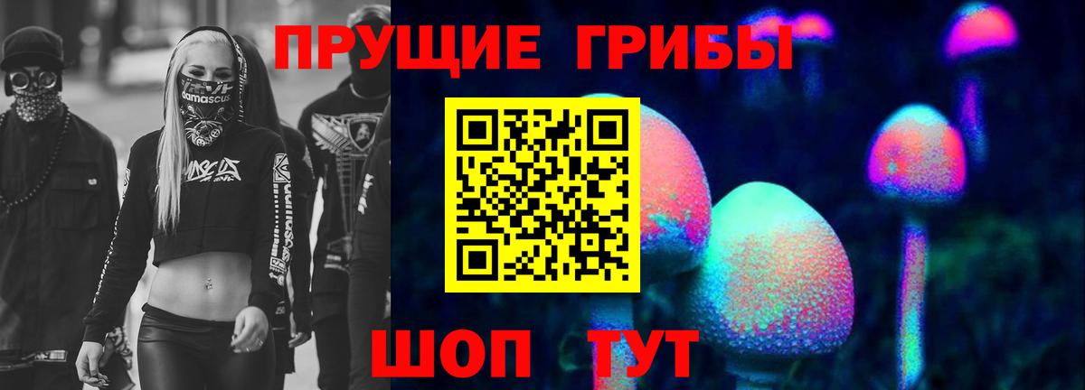 Псилоцибиновые грибы Psilocybe Кушва